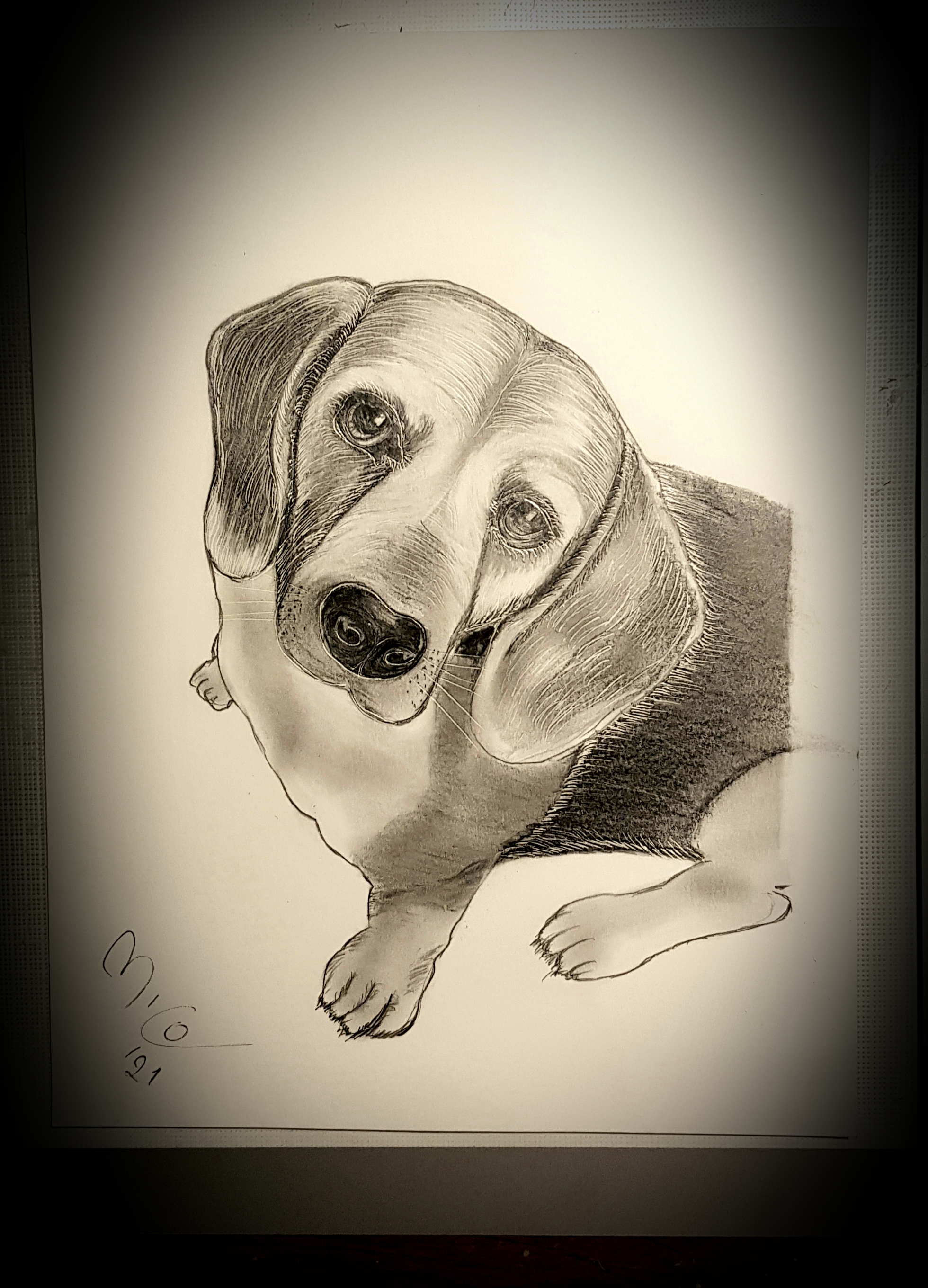 bruno
